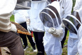 rucher-de-lilou-2