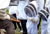rucher-de-lilou-2