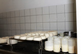 ferme-de-noiregoutte-fresse-sur-moselle-4 ferme-de-noiregoutte-fresse-sur-moselle-4