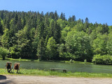 peche-etang-du-frac-5 peche-etang-du-frac-5