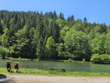 peche-etang-du-frac-5