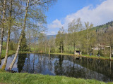 peche-etang-des-fenesses-5 peche-etang-des-fenesses-5