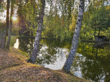 peche-etang-des-fenesses-4 peche-etang-des-fenesses-4