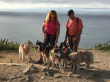 cani-rando-energie-canine-8