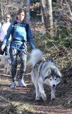 cani-rando-energie-canine-5 cani-rando-energie-canine-5