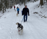 cani-rando-energie-canine cani-rando-energie-canine