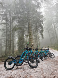 trott-in-vosges trott-in-vosges