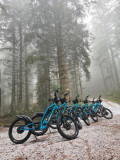 trott-in-vosges