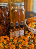 plantes-et-potions-1