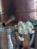 plantes-et-potions-6