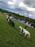 centre-equestre-la-jumenterie-saint-maurice-sur-moselle-5 centre-equestre-la-jumenterie-saint-maurice-sur-moselle-5