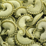 Atelier-a-pates-thiefosse-3 Atelier-a-pates-thiefosse-3