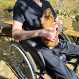 Ferme-pedagogique-complicites-animales-ventron-10