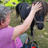 Ferme-pedagogique-complicites-animales-ventron-8