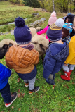 Ferme-pedagogique-complicites-animales-ventron-1