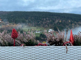 balcon-zimette-ventron-5