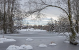 plateau-des-mille-etangs-8