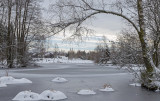 plateau-des-mille-etangs-8 plateau-des-mille-etangs-8