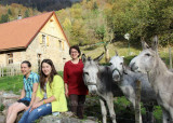 ferme-auberge-hinteralfeld-5 ferme-auberge-hinteralfeld-5