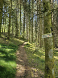 croix-du-couard-fresse