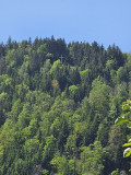 croix-du-couard-fresse3 croix-du-couard-fresse3