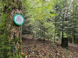 borne-de-visee-tunnel-inacheve-st-maurice-sur-moselle
