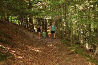 balade-sentier-chevres-4 balade-sentier-chevres-4