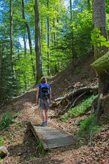 randonnee-drumont-par-sentier-des-russiers-1 randonnee-drumont-par-sentier-des-russiers-1