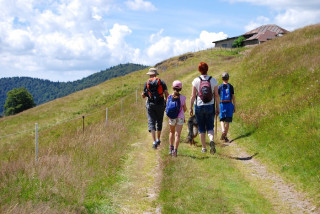 balade-neufs-bois-et-ses-etangs-2