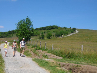 balade-famille-ballon-alsace-2