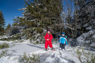 randonnee-raquettes-rochelotte-bussang