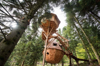 clairiere-aux-cabanes-la-bresse