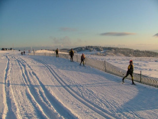 domaine-ski-nordique-ballon-alsace