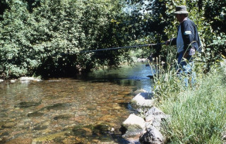 peche-en-riviere