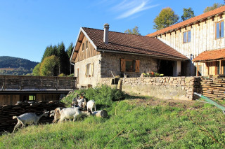 ferme-de-noiregoutte-fresse-sur-moselle ferme-de-noiregoutte-fresse-sur-moselle