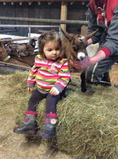 chevrerie-de-la-moselle