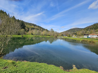 peche-etang-de-morteville peche-etang-de-morteville