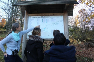 parcours-de-sante-le-thillot parcours-de-sante-le-thillot