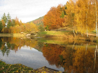 peche-etang-des-fenesses peche-etang-des-fenesses