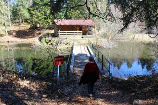 peche-etang-de-la-chaussee-pingant peche-etang-de-la-chaussee-pingant