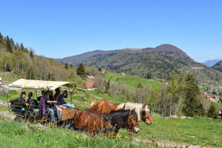 Balade_en_caleche_bussang