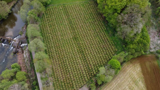 les-vergers-des-avollets