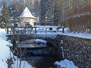 -Marie-Bussang-6 -Marie-Bussang-6