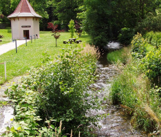 Source-Marie-Bussang-1 Source-Marie-Bussang-1