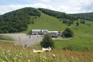 rouge-gazon-neufs-bois-saint-maurice-sur-moselle-1