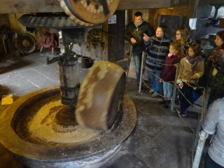 moulin-huile-storckensohn-1