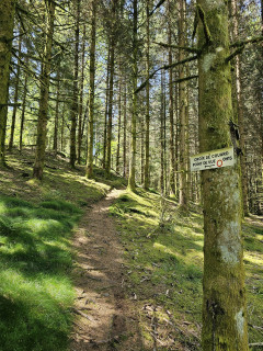 croix-du-couard-fresse
