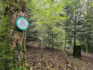 borne-de-visee-tunnel-inacheve-st-maurice-sur-moselle
