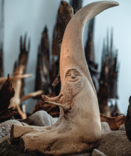 Musee-des-1001-racines-cornimont-1