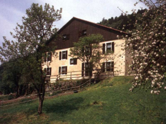 chalet-de-damelevieres-bussang